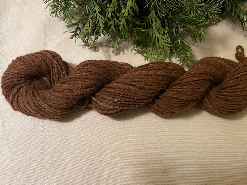 Alpaka auf der Alpakasölde Farm