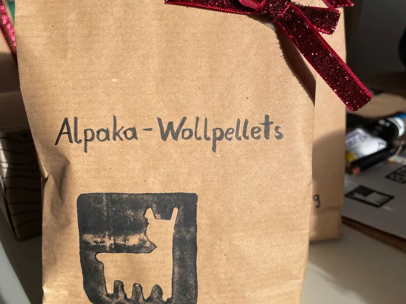 Alpaka auf der Alpakasölde Farm