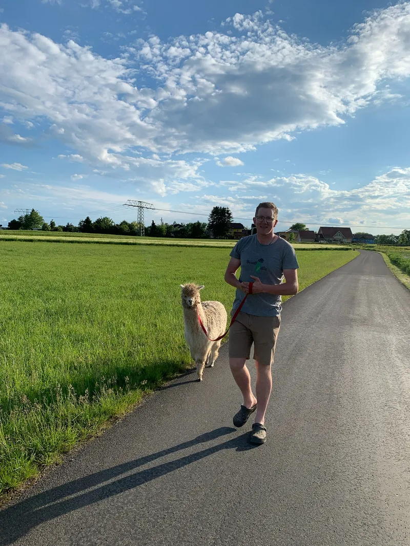 Alpaka auf der Alpakasölde Farm